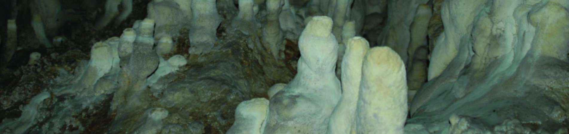 Buca’nın Mağaraları